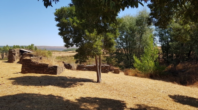 Badajoz - La Codosera - 23330m2