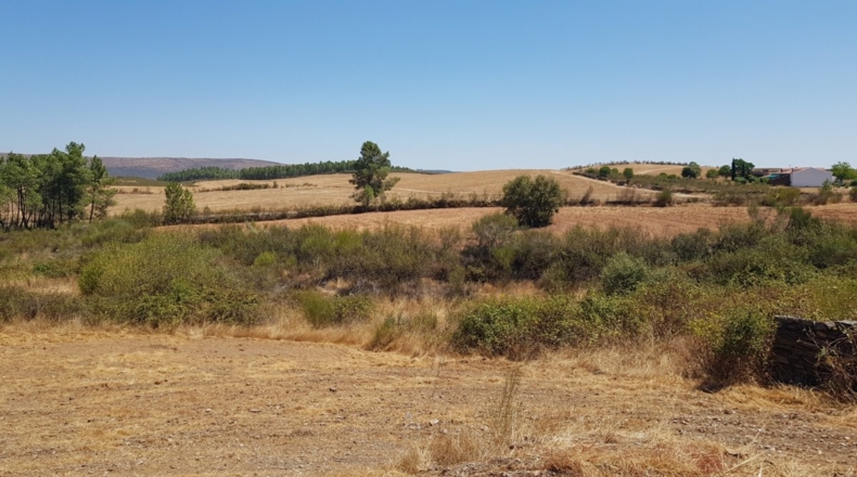 Badajoz - La Codosera - 23330m2