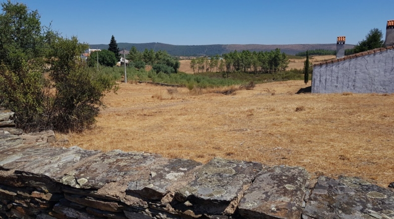 Badajoz - La Codosera - 23330m2