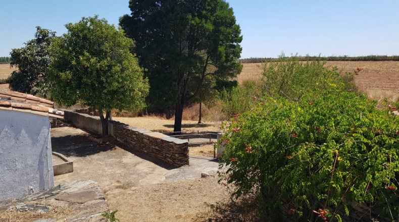 Badajoz - La Codosera - 23330m2