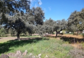 Parcel·la urbanitzable en venda a Badajoz ref.: TR307572 foto