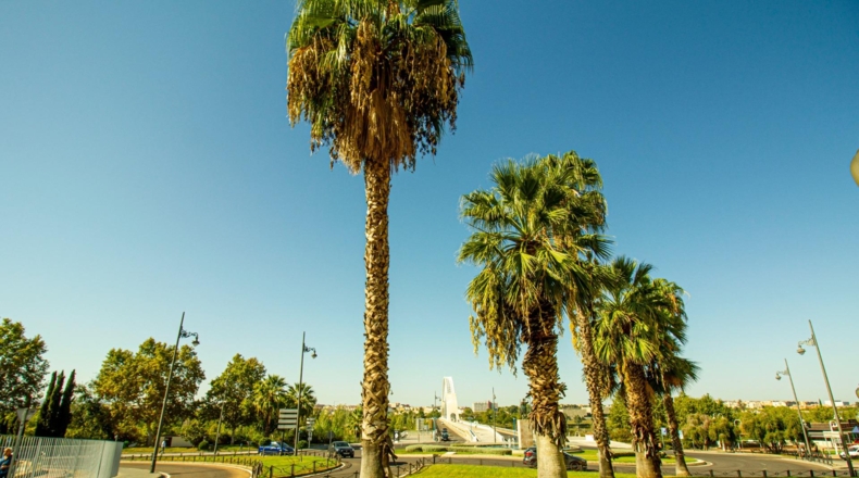 Badajoz - Мерида - 596m2