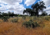 Sòl urbà en venda a Badajoz ref.: TR254431 foto