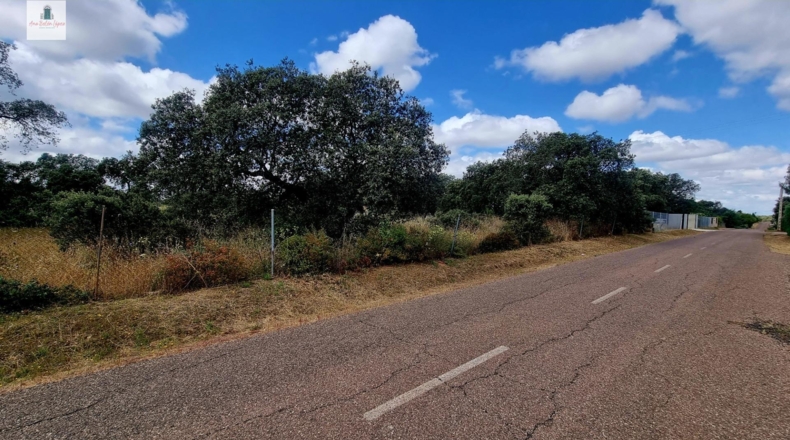 Badajoz - Badajoz - 5575m2