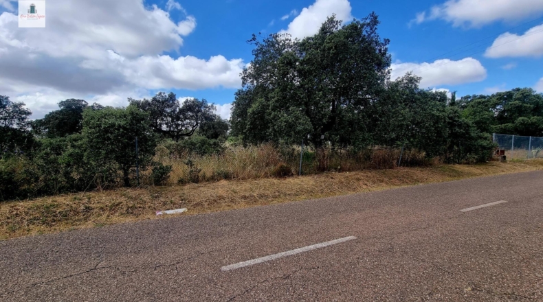 Badajoz - Badajoz - 5575m2
