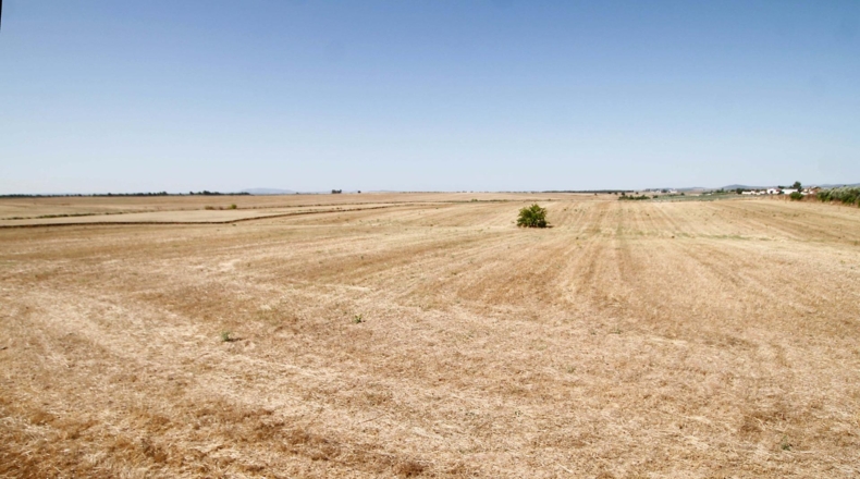 Badajoz - Badajoz - 40000m2