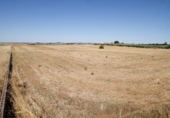 Terreny no urbanitzable en venda a Badajoz ref.: TR307703 foto