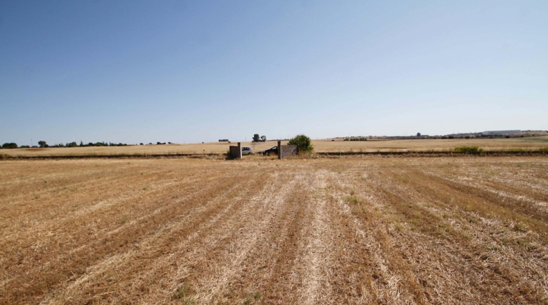 Badajoz - Badajoz - 40000m2