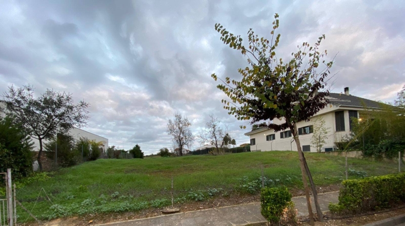 Badajoz - Badajoz - 1000m2