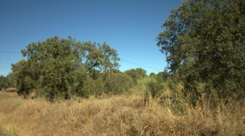 Badajoz - Alburquerque - 22338m2