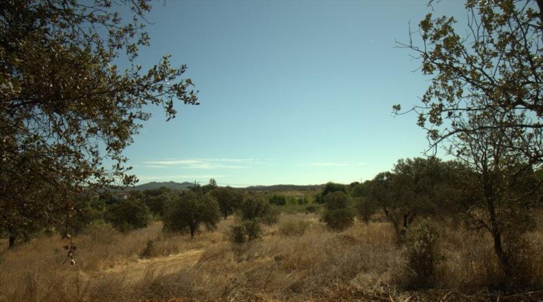 Badajoz - Alburquerque - 22338m2