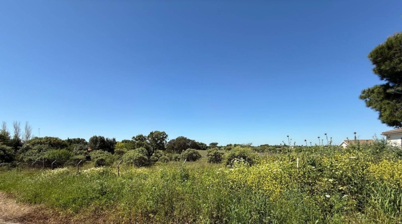 Badajoz - Badajoz - 5000m2