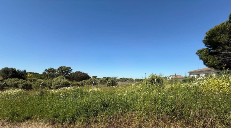 Badajoz - Badajoz - 5000m2