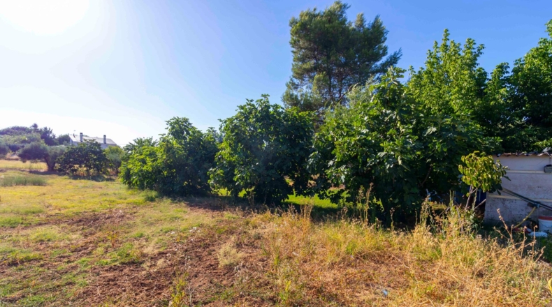 Badajoz - Badajoz - 7500m2