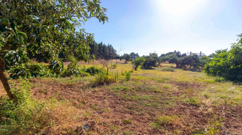 Badajoz - Badajoz - 7500m2