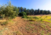 Xalet independent amb terreny en venda a Badajoz ref.: TR349395 foto