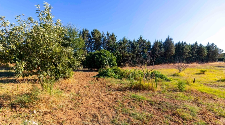 Badajoz - Badajoz - 7500m2