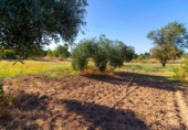 Xalet independent amb terreny en venda a Badajoz ref.: TR349395 foto