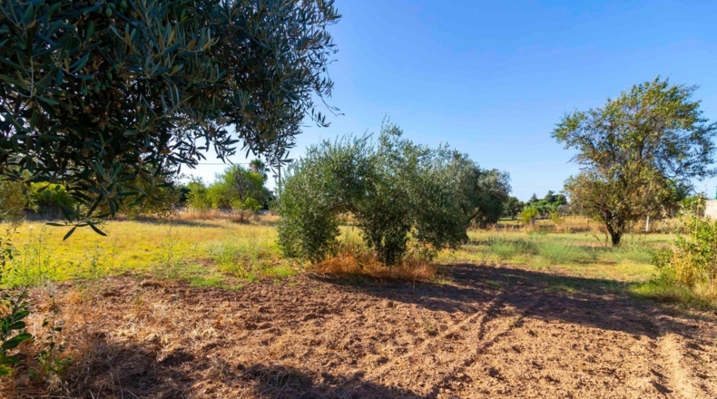 Badajoz - Badajoz - 7500m2
