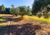 Xalet independent amb terreny en venda a Badajoz ref.: TR349395 foto