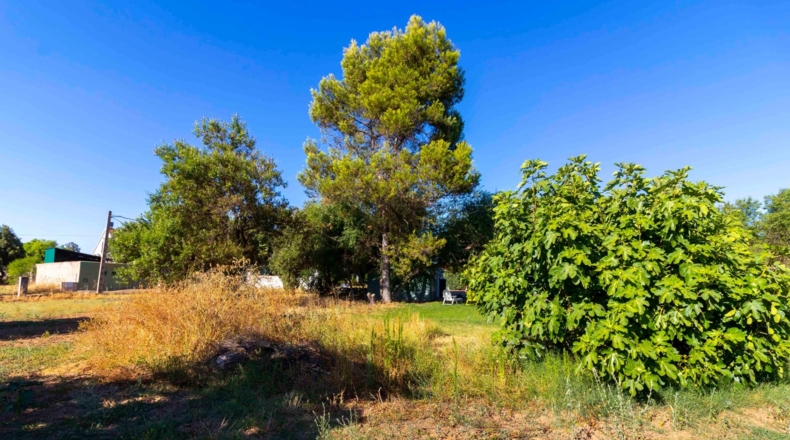 Badajoz - Badajoz - 7500m2