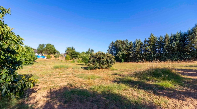 Badajoz - Badajoz - 7500m2