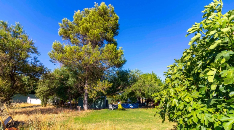 Badajoz - Badajoz - 7500m2