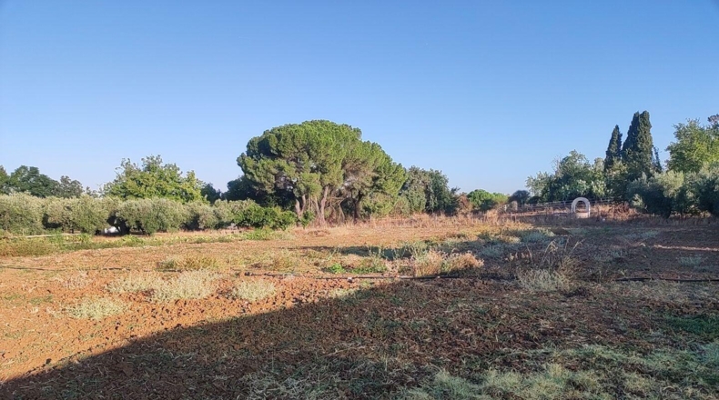 Badajoz - Badajoz - 4796m2