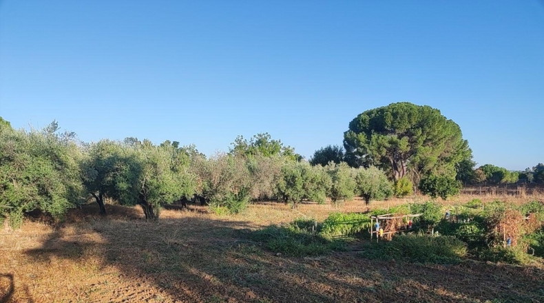 Badajoz - Badajoz - 4796m2