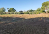 Terreny no urbanitzable en venda a Badajoz ref.: TR349276 foto