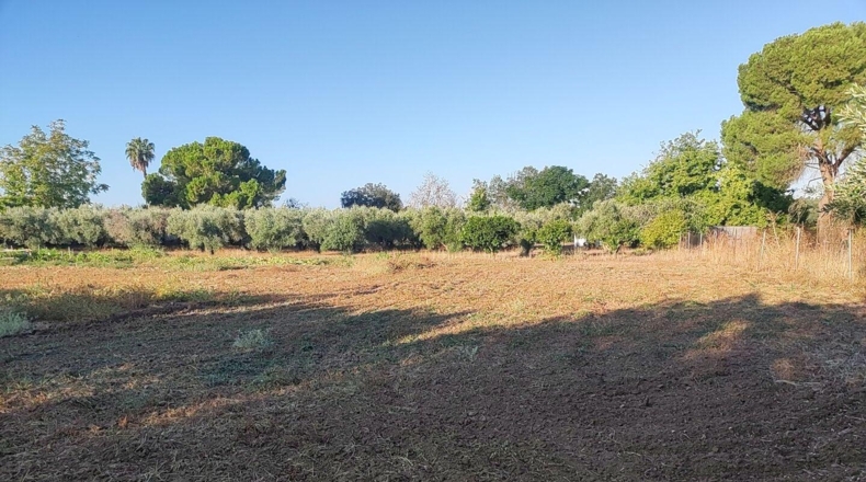 Badajoz - Badajoz - 4796m2