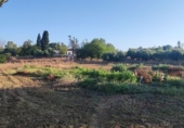 Terreny no urbanitzable en venda a Badajoz ref.: TR349276 foto