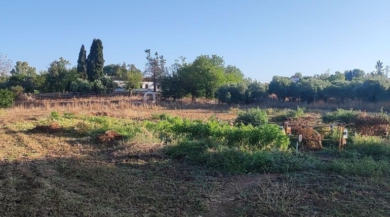 Badajoz - Badajoz - 4796m2