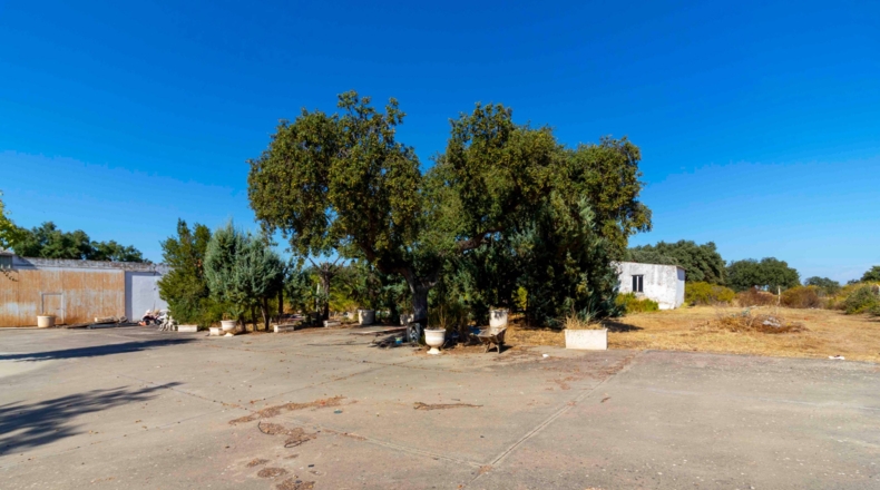 Badajoz - Badajoz - 5000m2