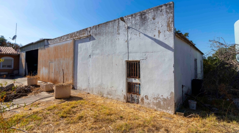 Badajoz - Badajoz - 5000m2