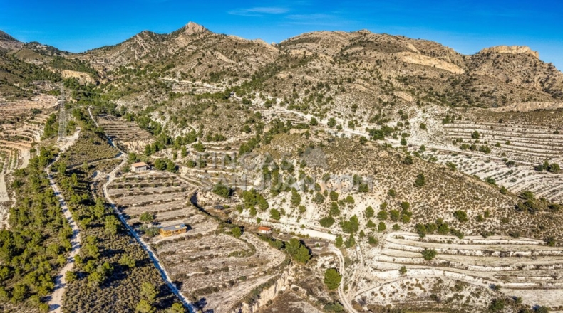 Alicante - l'Almoraig - 630000m2