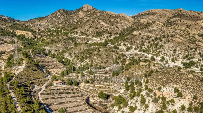 Alicante - l'Almoraig - 630000m2