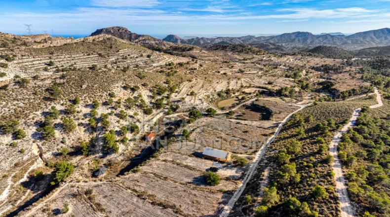 Alicante - l'Almoraig - 630000m2