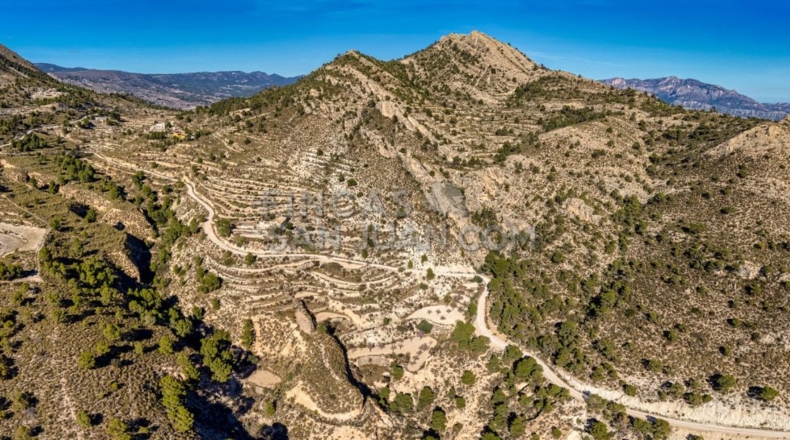 Alicante - l'Almoraig - 630000m2