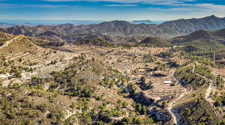 Alicante - l'Almoraig - 630000m2