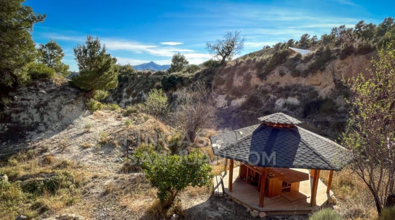Alicante - l'Almoraig - 630000m2