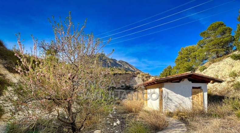 Alicante - l'Almoraig - 630000m2