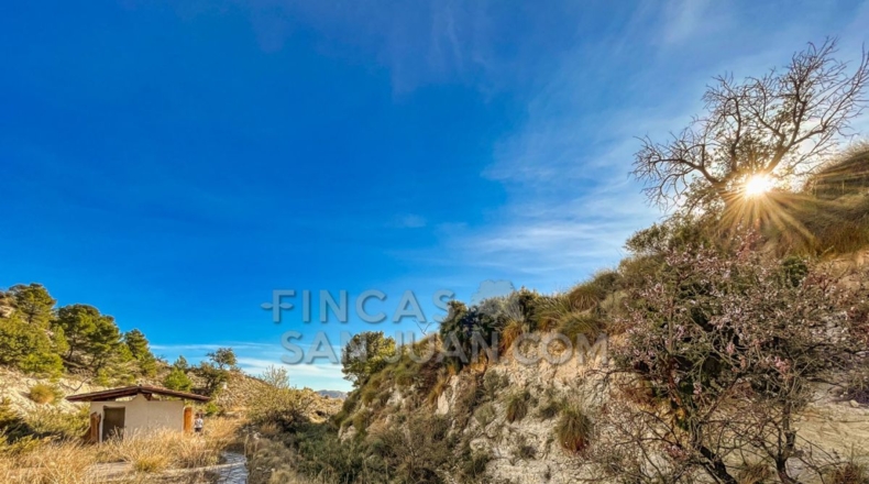 Alicante - l'Almoraig - 630000m2