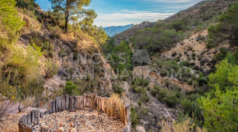 Alicante - l'Almoraig - 630000m2