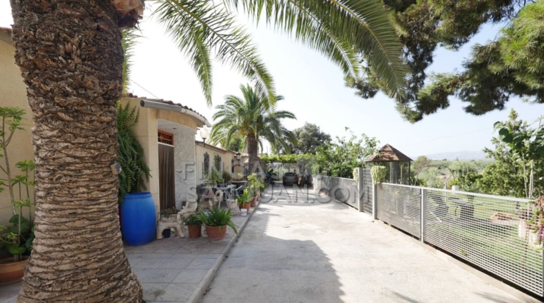 Alicante - San Vicente del Raspeig - 4500m2