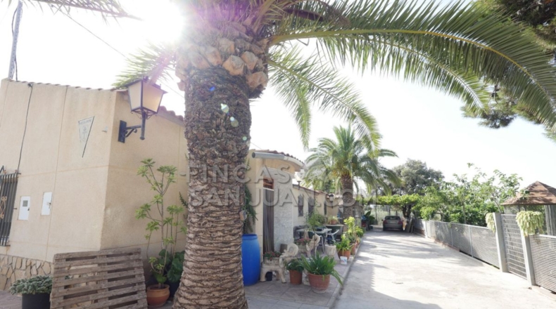 Alicante - San Vicente del Raspeig - 4500m2