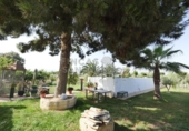 Finca rústica en venda a Sant Vicent del Raspeig ref.: TR82101 foto