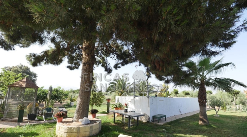 Alicante - San Vicente del Raspeig - 4500m2