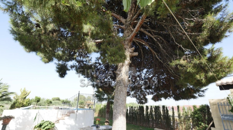 Alicante - San Vicente del Raspeig - 4500m2