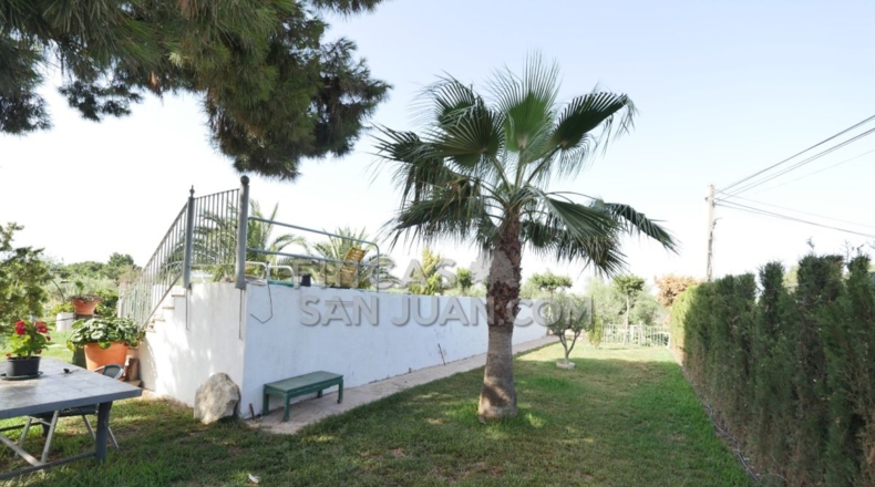 Alicante - San Vicente del Raspeig - 4500m2